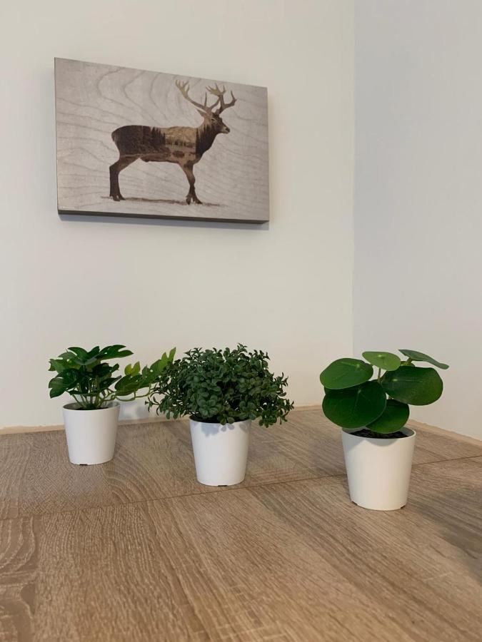 Koblenz City Rooms, Wifi, Netflix Kültér fotó